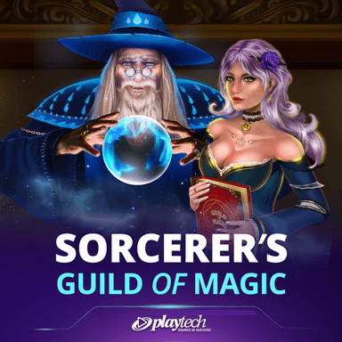 Sorcerer's Guild of Magic