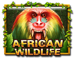 African Wildlife