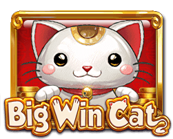 Big Win Cat
