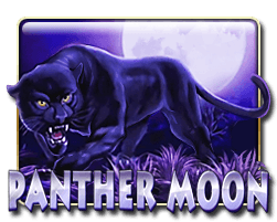 Panther Moon
